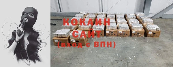 индика Аркадак