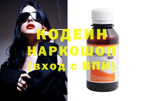 индика Аркадак