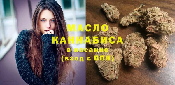 индика Аркадак