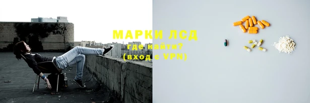 индика Аркадак
