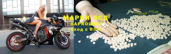 индика Аркадак